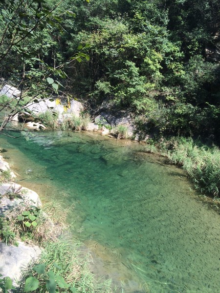 郧西五龙河景区,郧西五龙河在哪里