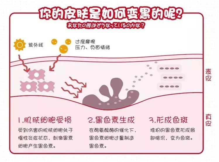 日本skii小灯泡多少钱,skii两款小灯泡对比