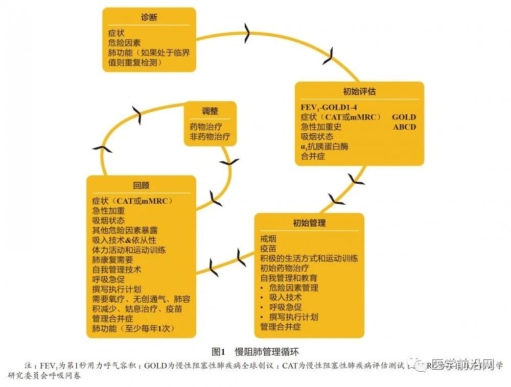 2024年gold慢阻肺指南,gold慢阻肺疾病评估分组