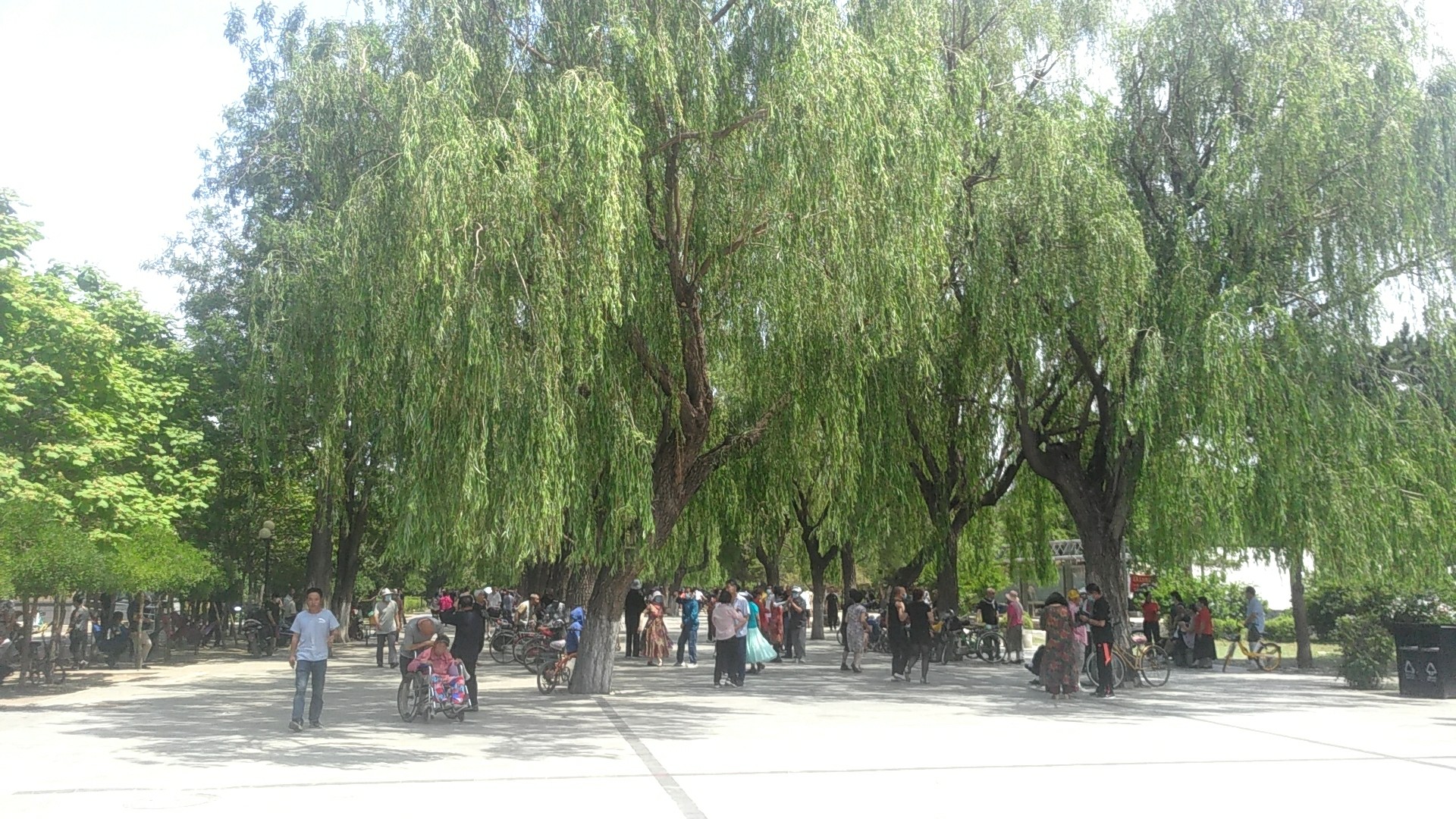 沈阳的篮球公园,沈阳科普公园里有篮球场吗