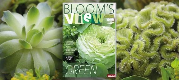 全球花艺播报最新战况,花艺发展趋势