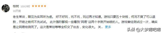 战意这款游戏如何,战意为什么这么多差评