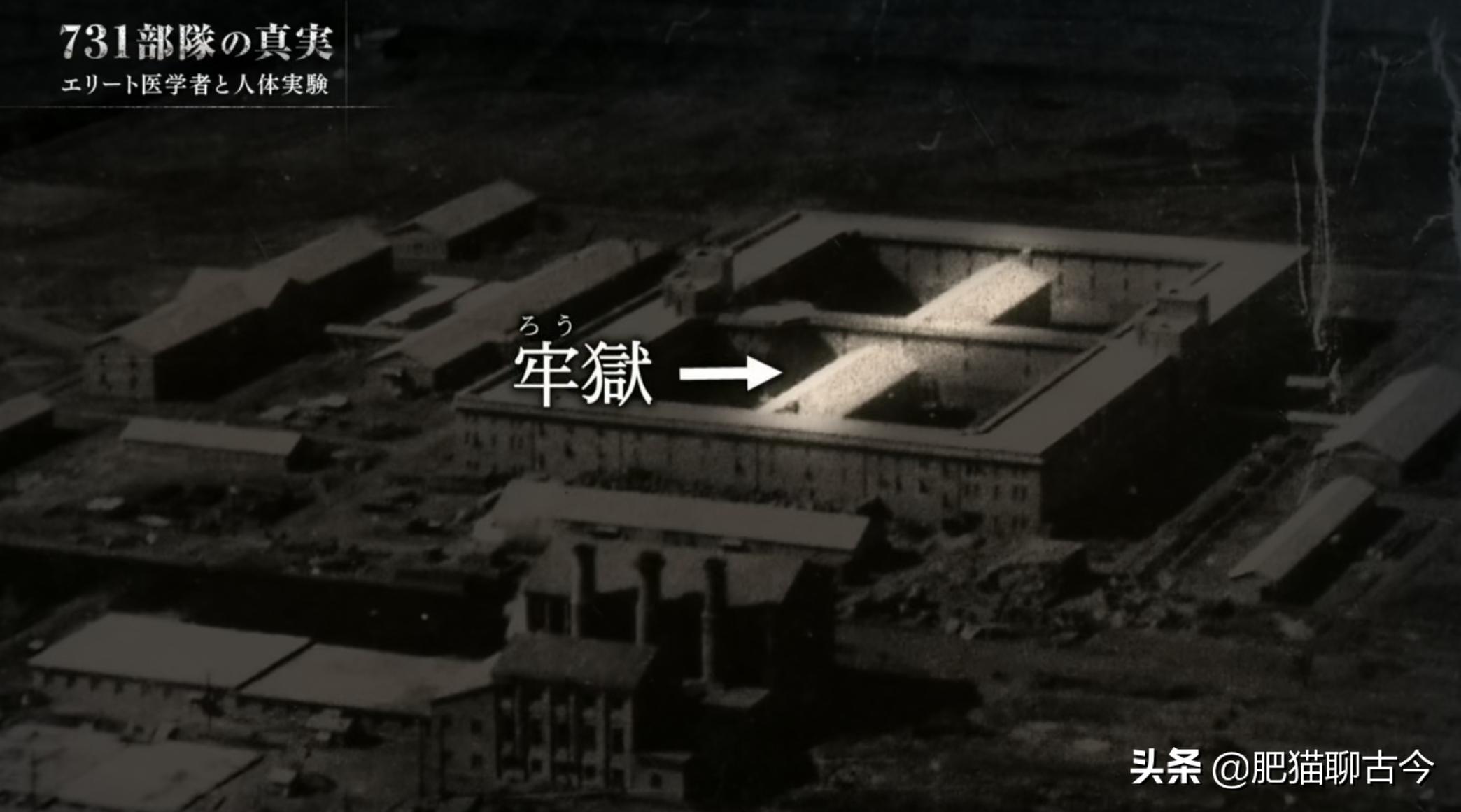 「酷刑使徒」活体解剖、冰冻实验，揭秘东方奥斯维辛真相（下）