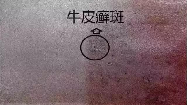 真皮沙发牛皮能修复吗,牛皮上的疤痕怎么去除