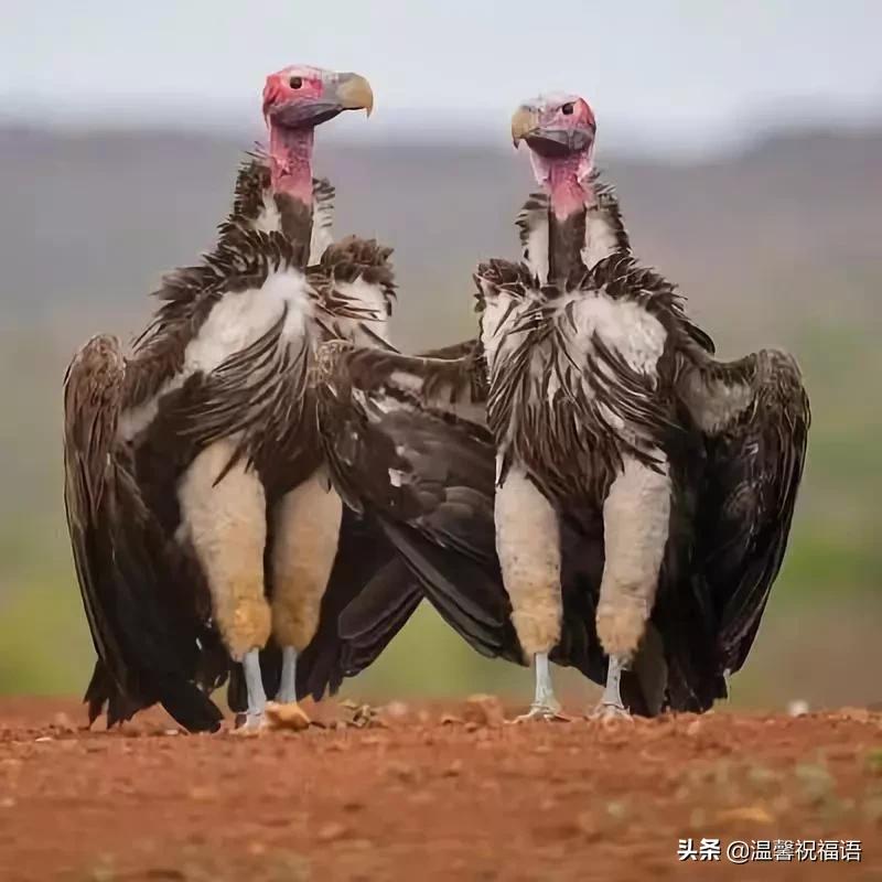 今天3月10，我的妈呀！谁编的，太好笑了，给群里乐一乐