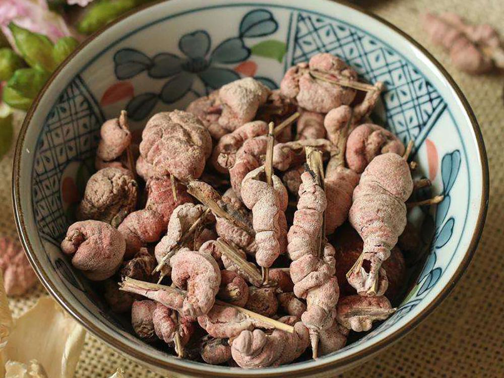 竹子里的虫子多少钱一斤,竹林中的虫子多少钱一斤