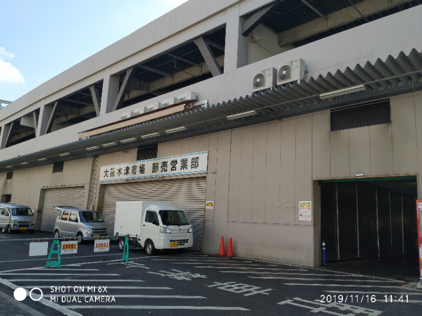 日本关西旅游14天,关西14天旅行攻略
