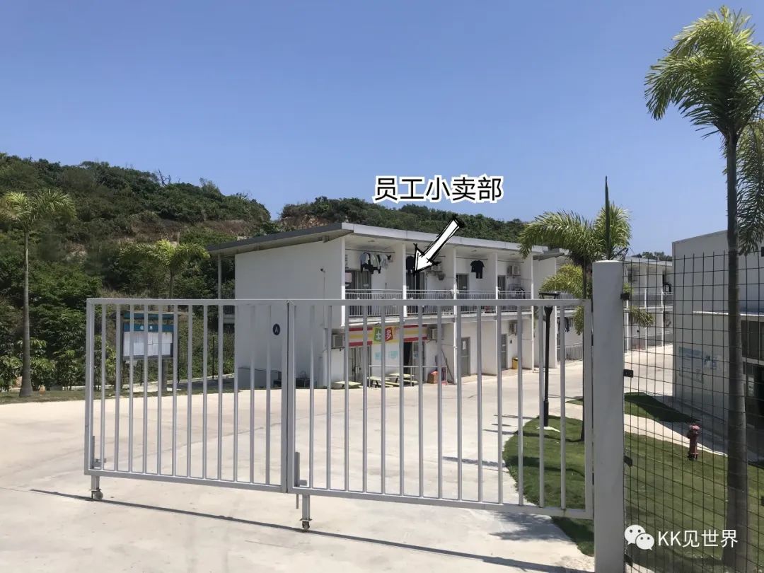 珠海东澳岛旅行攻略,东澳岛电动车环岛旅游