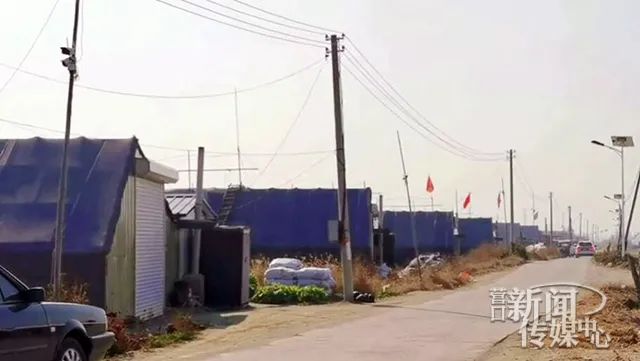 市界行看小康⑰丨新立东村：“小伞”撑起致富梦