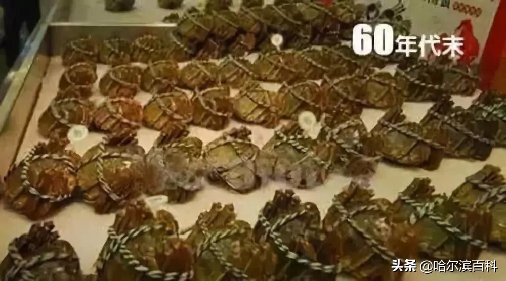 老人拿着61年前40元存款到银行,老人翻出62年前6元股金证