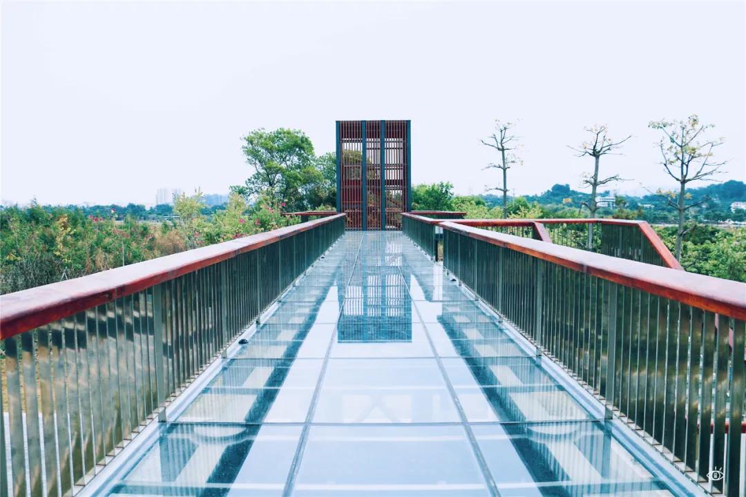 深圳哪个地方有玻璃桥,深圳玻璃桥免费开放吗
