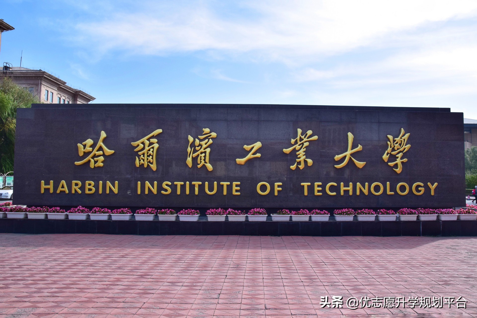 毕业证一样但分数更低的985211,985本校和分校毕业证书一样