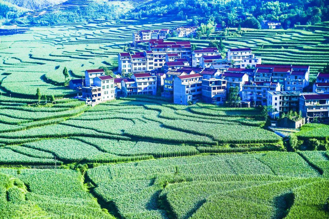 缙云旅游景点拍照攻略,缙云景区拍照攻略视频