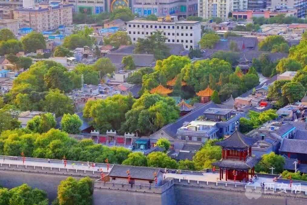 调研老旧小区改造和文明城市创建,高质量发展看新区