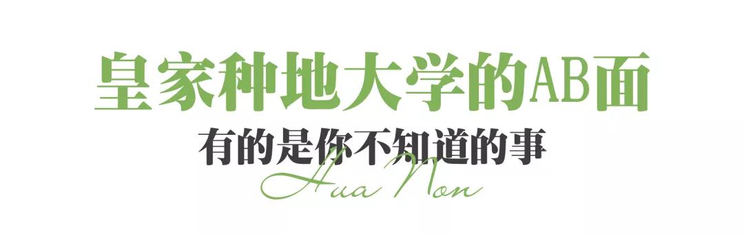 武汉农家乐一日游,武汉近郊农家乐一日游