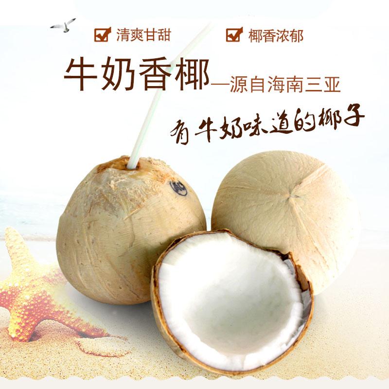 海南特产在哪买最便宜 (海南特产在哪买最划算)