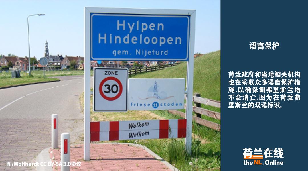 荷兰语到底有什么难,荷兰人说荷兰语吗怎么说