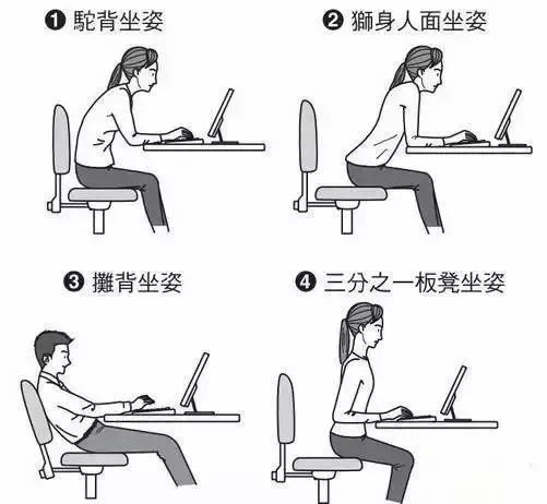 京东人体工学腰垫,人体工学腰垫品牌推荐