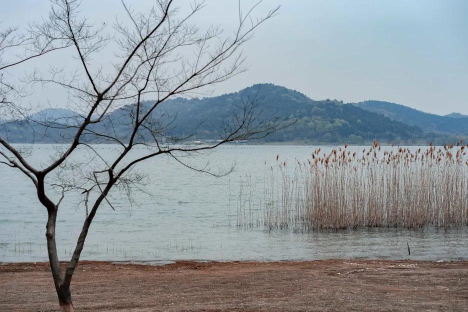 江浙沪天然温泉度假村排名榜,江浙沪温泉最好的地方排名
