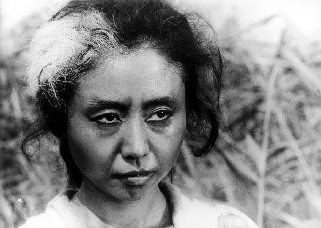 十大恐怖片咒怨,日本恐怖片前十排行榜咒怨