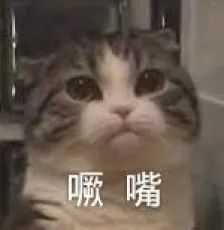 吃遍全上海锅贴,上海最好吃的锅贴店在哪里