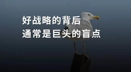未来10年创业者趋势,创业者如何识别创业的机会