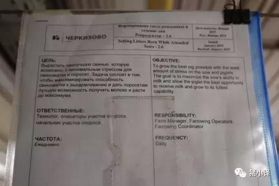 看国外防非瘟—俄罗斯农场,II:Lipetsk8，一个现代化设施的猪场