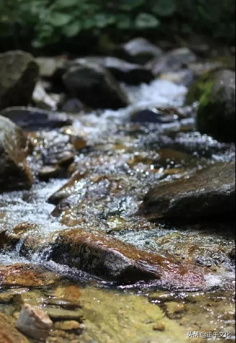 隐居终南山小龙女,一人隐居生活