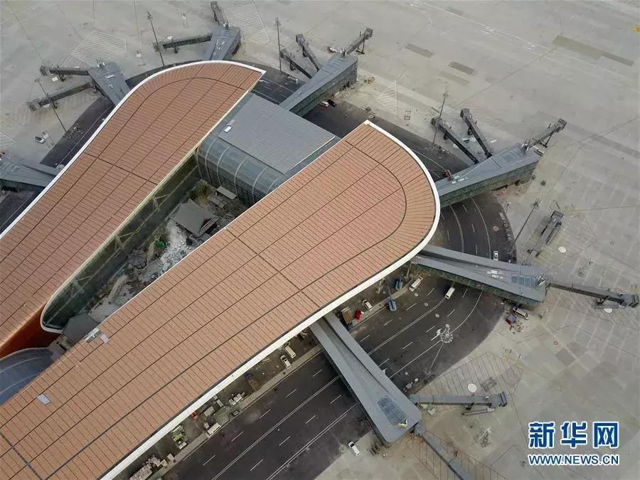 这牛太厉害了,这哥们太牛了