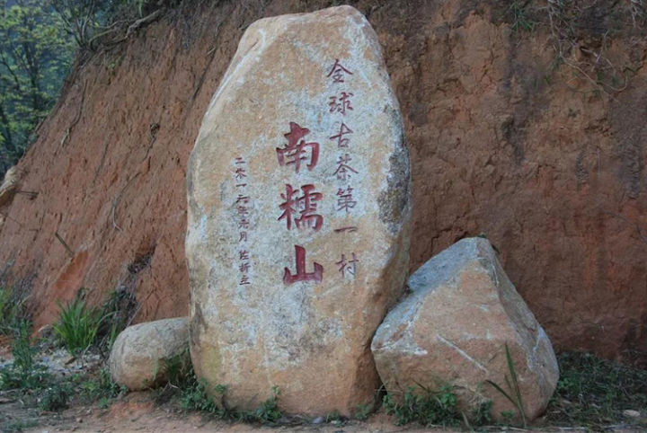 好茶分享南糯山熟普,南糯山的好茶