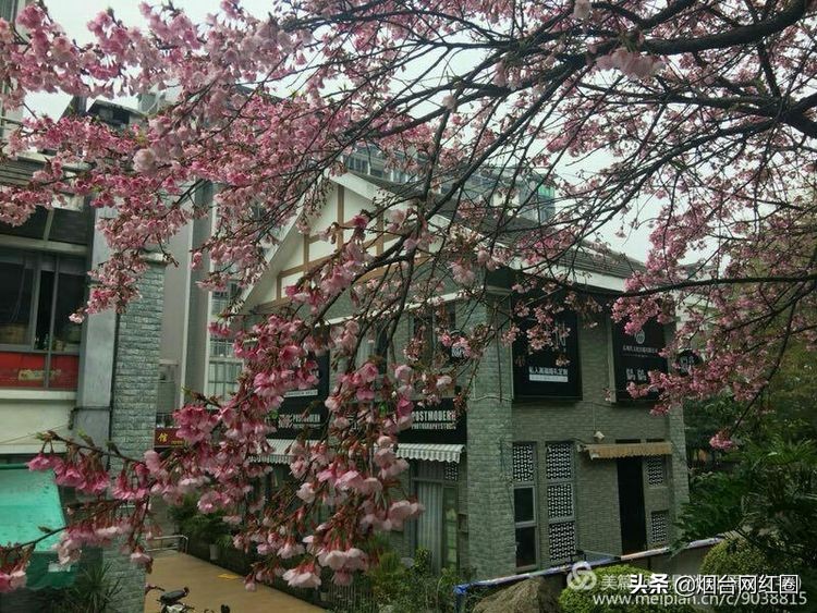 逦迤在乌山脚下，远远地见，邓拓故居院落边上，黛瓦白墙下