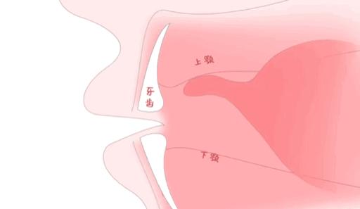 快来对号入座吧,快来对号入座看看你是哪种牙型