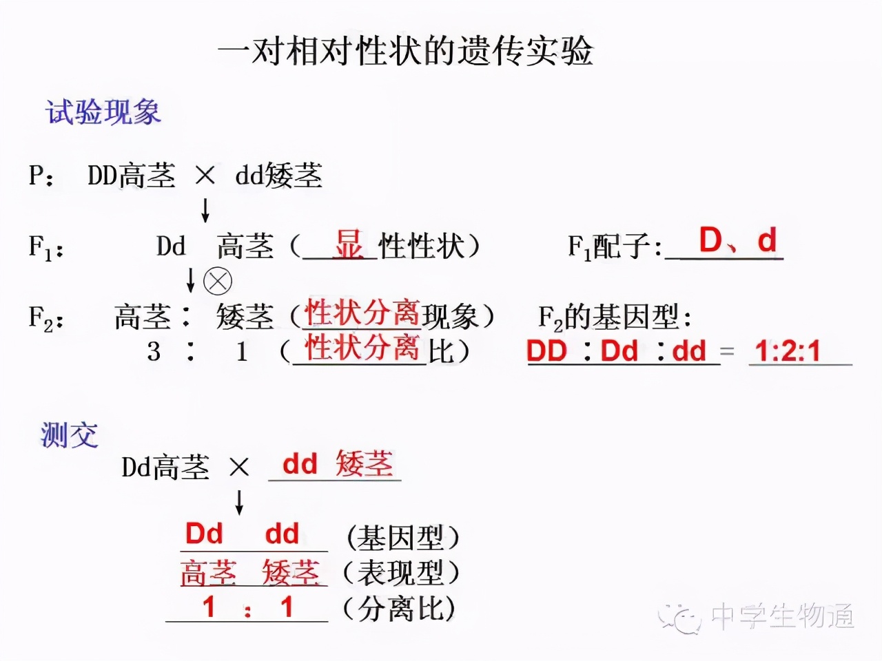 高中生物复习资料必修一,高中生物复习资料大全2019
