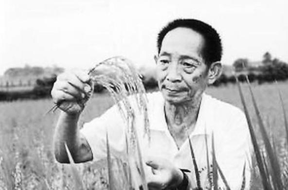 送别袁隆平群众高呼一路走好,袁隆平院士群众送别
