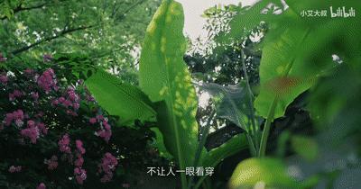 中式风格千万豪宅,1.58亿豪宅