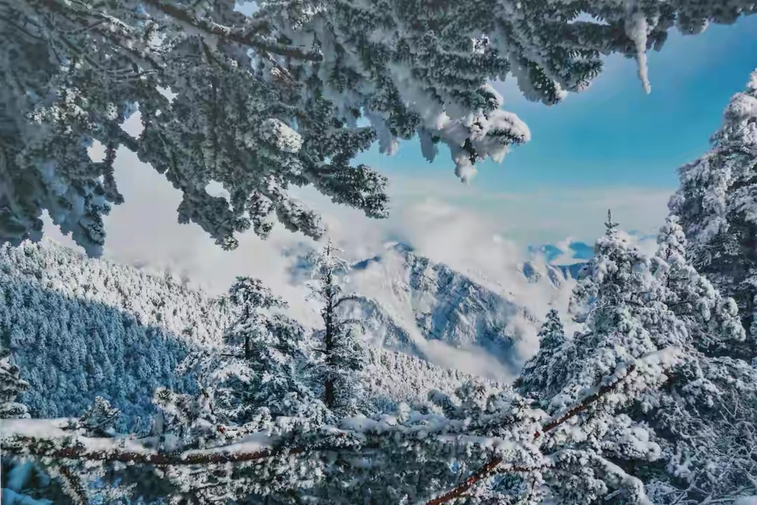 西岭雪山游玩攻略一日游有雪没有,西岭雪山赏雪一日游攻略