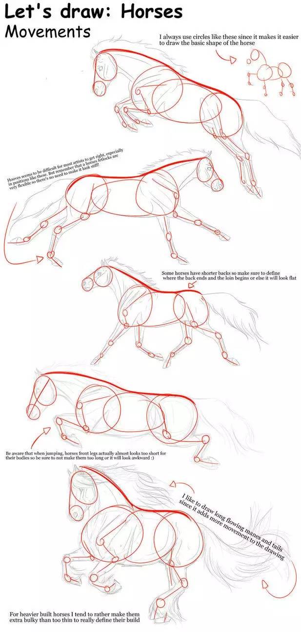 画一个简单又好看的马,教你一分钟画马