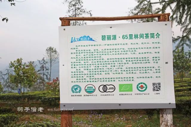 沧源，云南一个神秘的地方