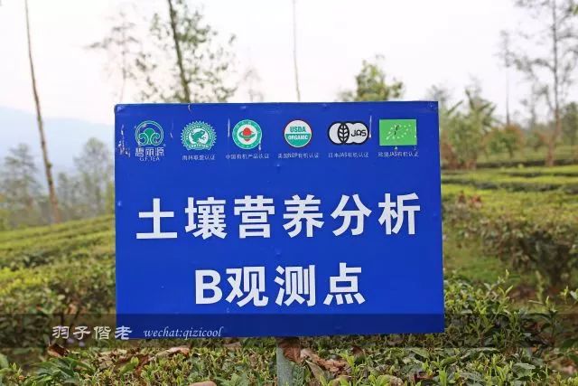 沧源，云南一个神秘的地方
