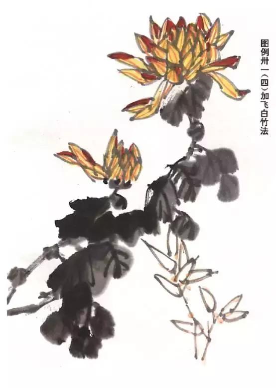 怎样画菊花的最简单画法,怎么样画菊花简单画法