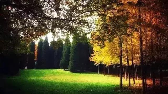 怎么认识西安欧亚学院,西安欧亚学院意见