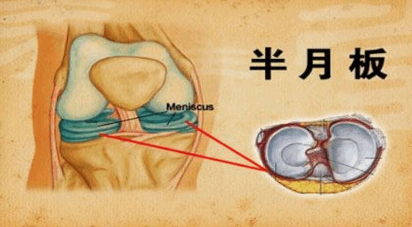 运动不伤害膝盖的最佳方法,运动怎么防止膝盖受伤