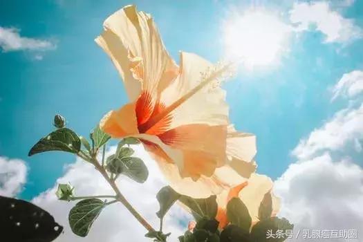 专家问答环节,专家提问十大问题