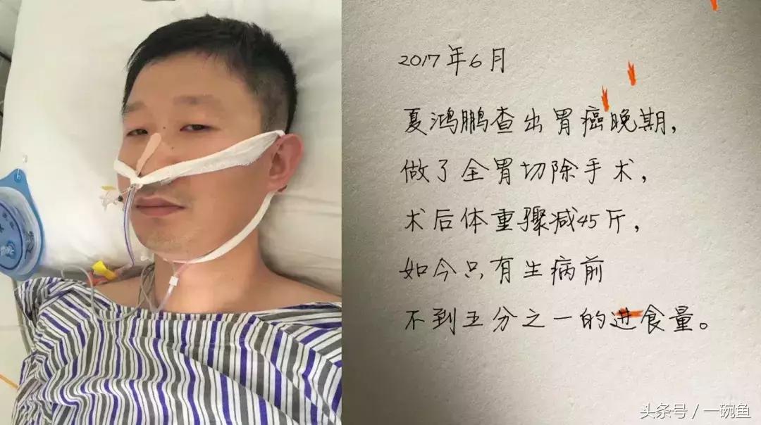 为什么喜欢诗意国风,诗意中国国风