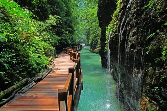 这趟高铁列车上的美食全国独有,渝贵高铁沿途风景