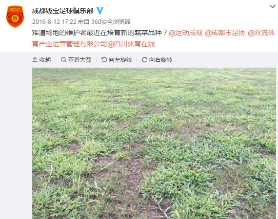 主队怒批“菜地”球场，为鸡肋赛维护！球迷：熊猫“面子”球场