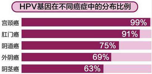 过了25岁，HPV疫苗接种就没用了？
