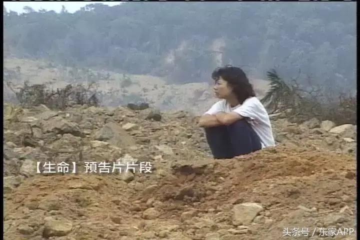 汶川地震夺走了多少生命,汶川地震夺走了多少人性命