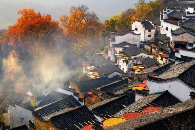 在婺源篁岭遇见一个充满诗意的春,在婺源