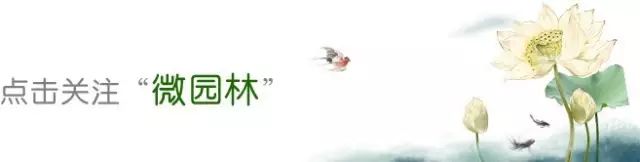 豫园古典园林名园,奇秀甲江南介绍